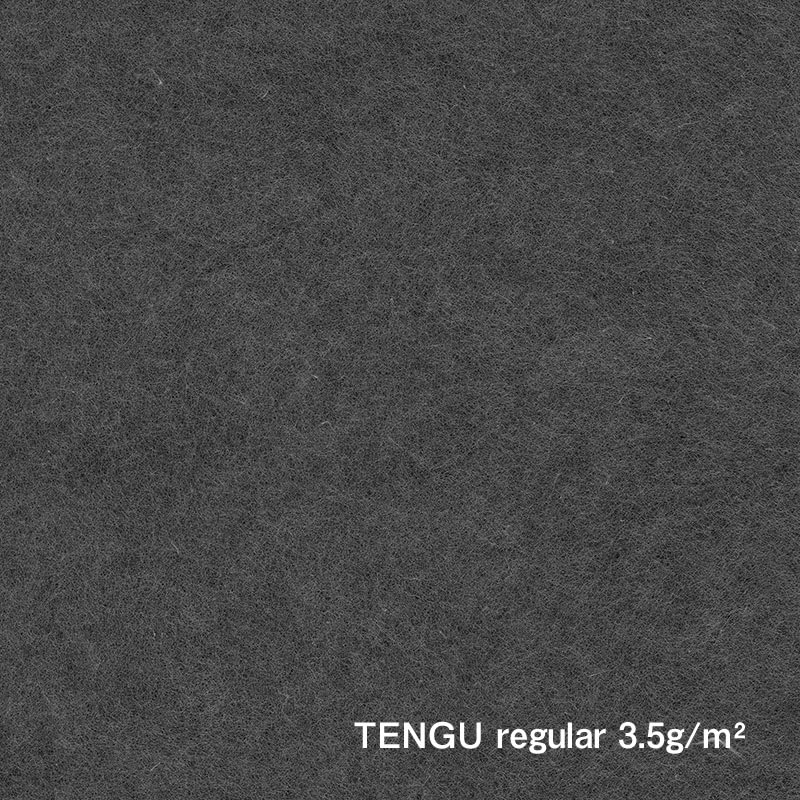 Papier de poste classique (oreille payé) 1 000 mm / Tengu Regula