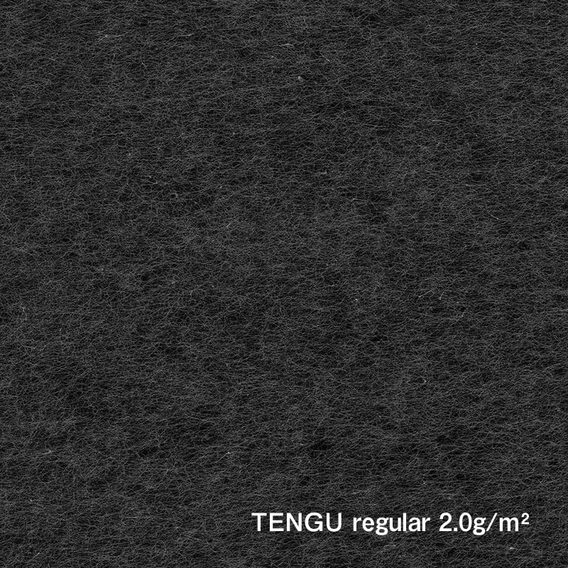 Papier de poste classique (oreille payé) 1 000 mm / Tengu Regula