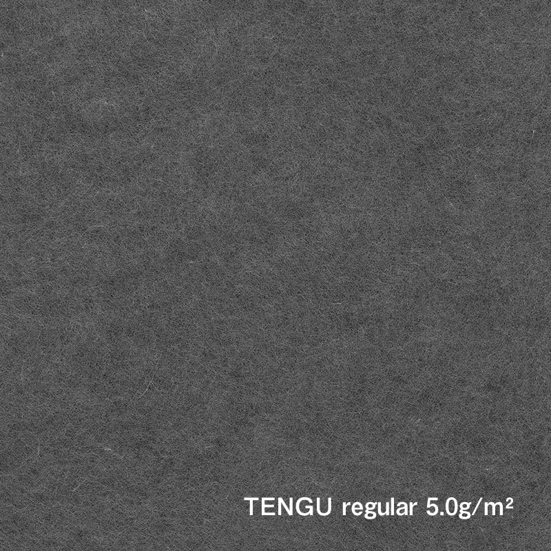 Papier de poste classique (oreille payé) 1 000 mm / Tengu Regula